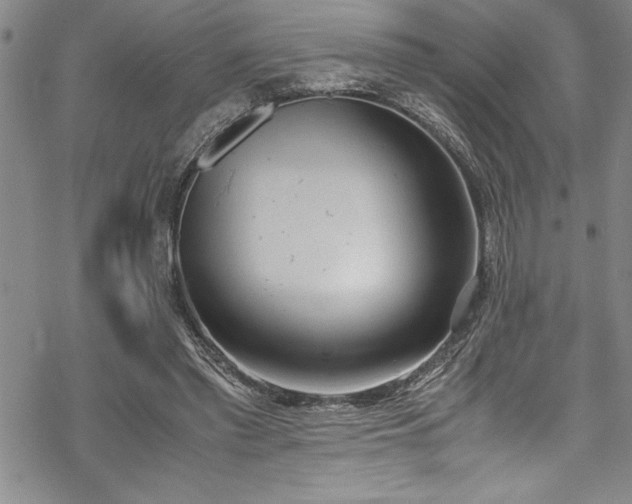 X0000069390397200605150948