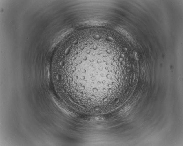 X0000069390398200605150948