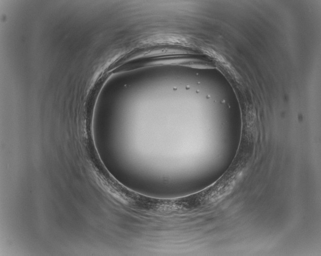 X0000069390399200605150948