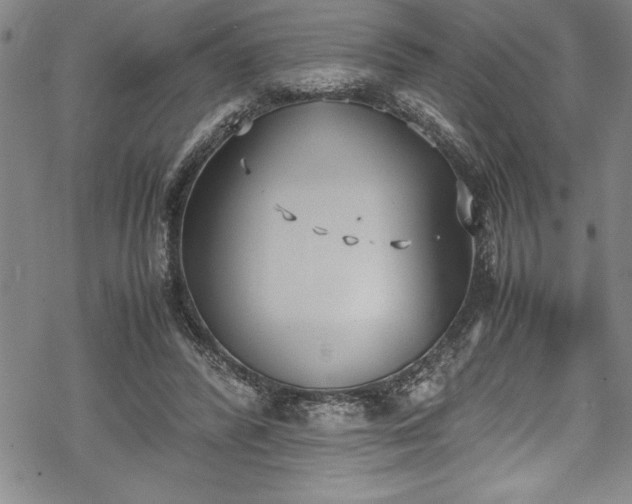 X0000069390400200605150948