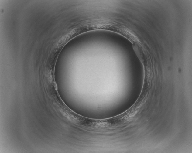 X0000069390401200605150948