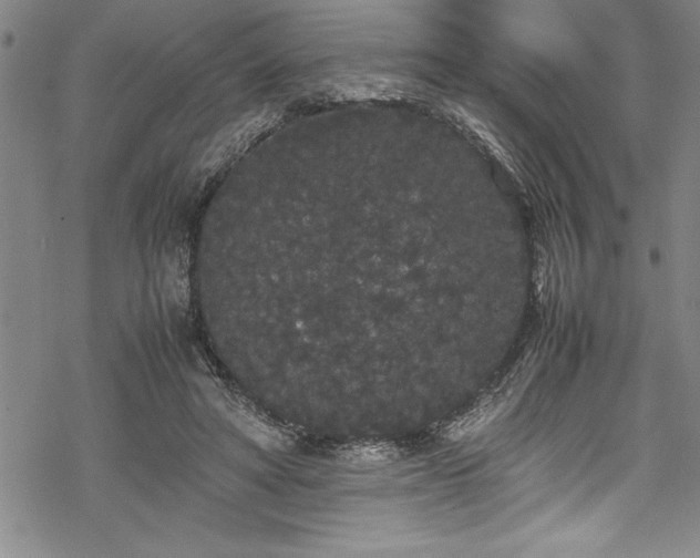 X0000069390402200605150948