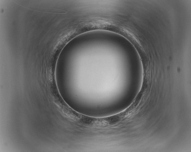 X0000069390403200605150948