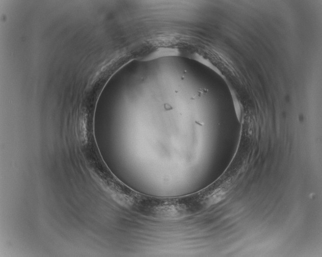 X0000069390404200605150948