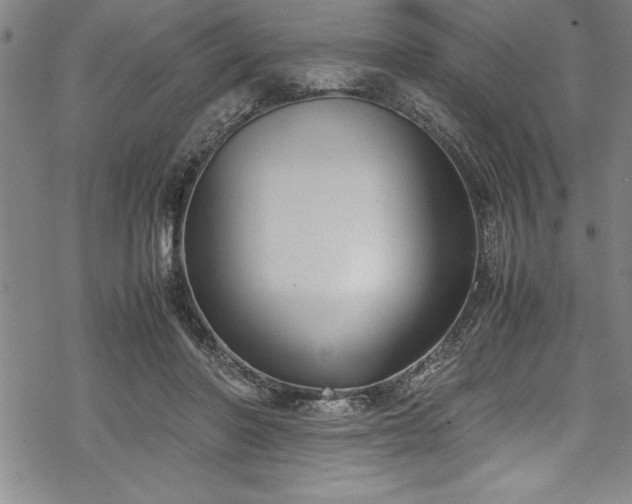 X0000069390406200605150948