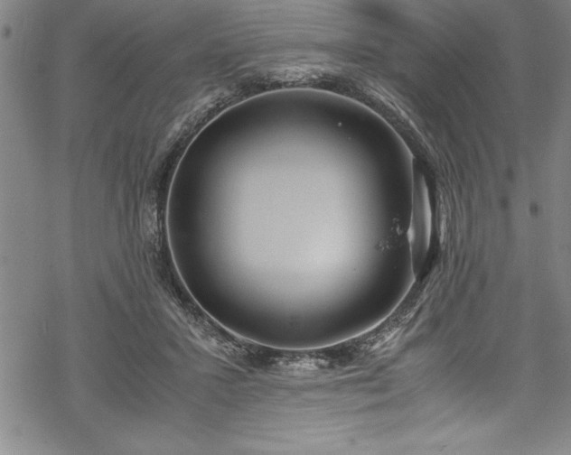 X0000069390407200605150948