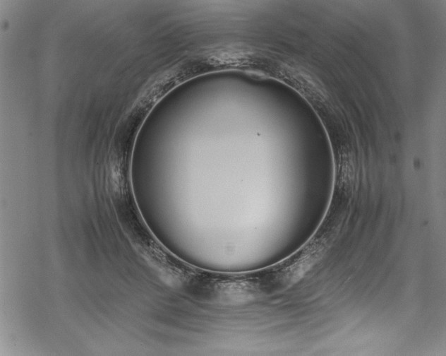 X0000069390408200605150948