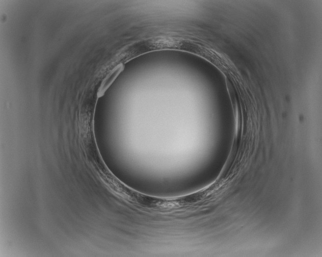 X0000069390409200605150948