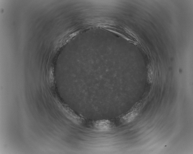 X0000069390410200605150948