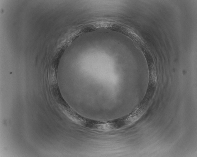 X0000069390411200605150948