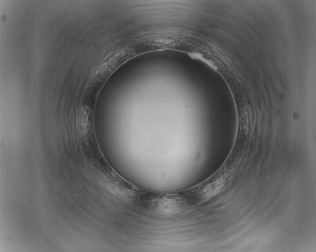 X0000069390412200605150948