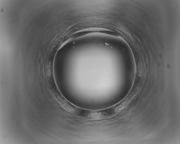 X0000069390413200605150948