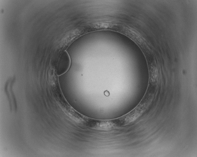 X0000069390414200605150948