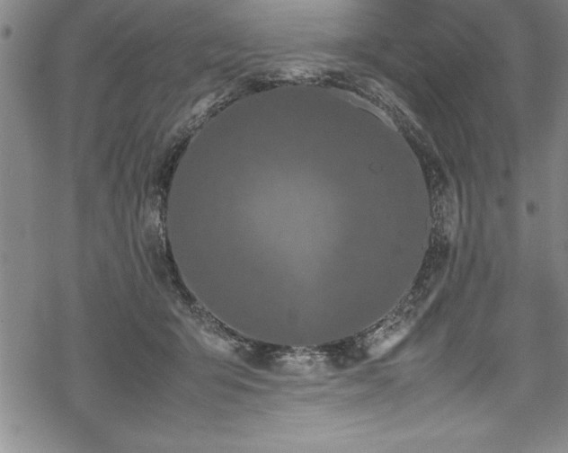 X0000069390415200605150948