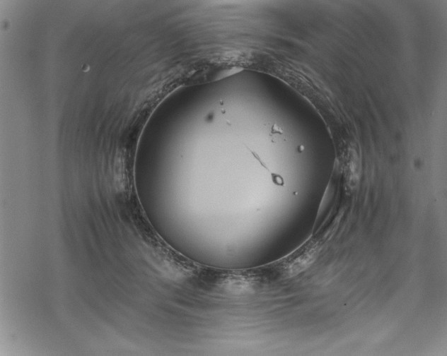 X0000069390416200605150948