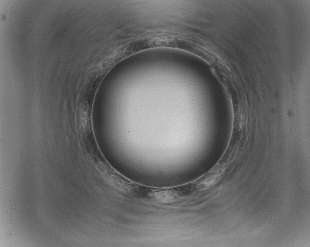 X0000069390417200605150948