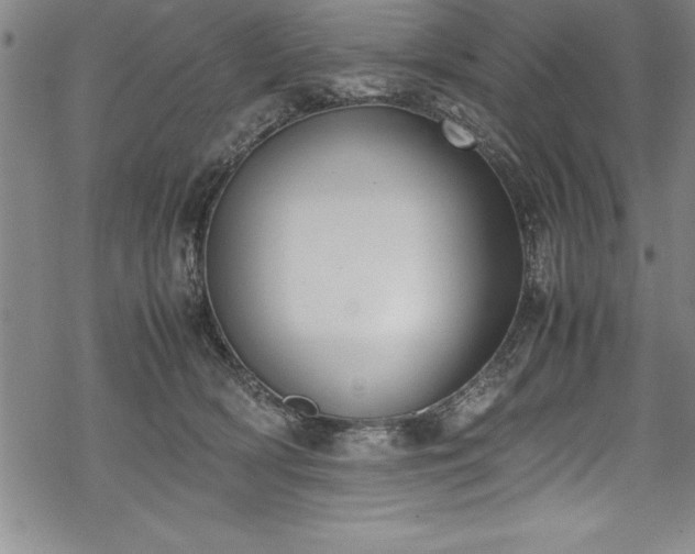 X0000069390418200605150948