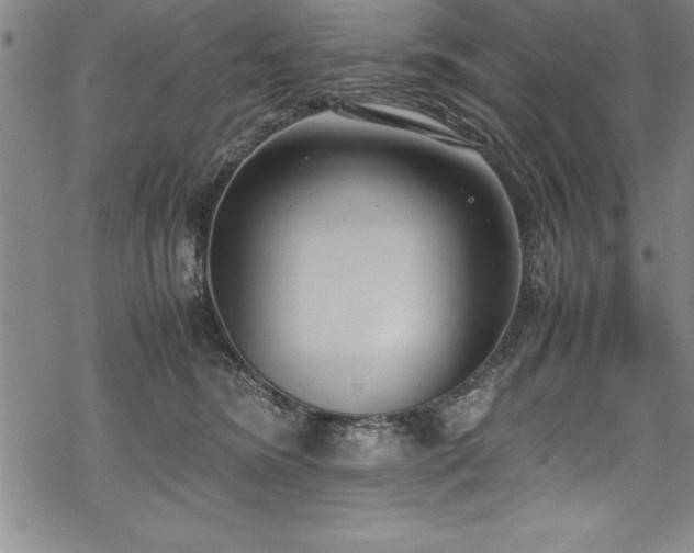 X0000069390420200605150948