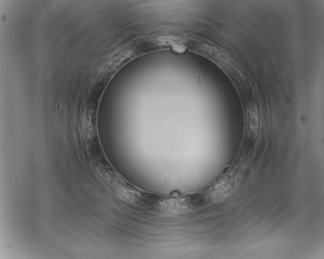 X0000069390422200605150948