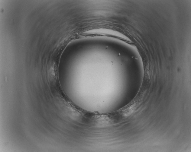 X0000069390424200605150948