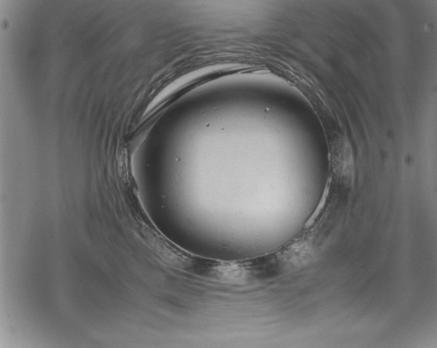 X0000069390425200605150948