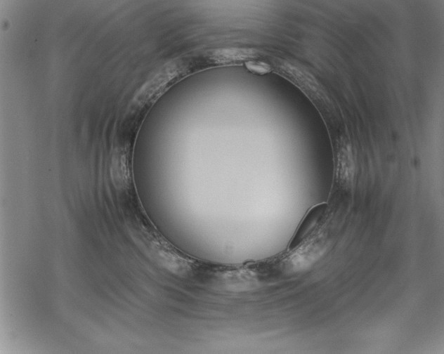 X0000069390426200605150948