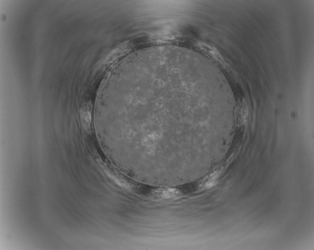 X0000069390427200605150948