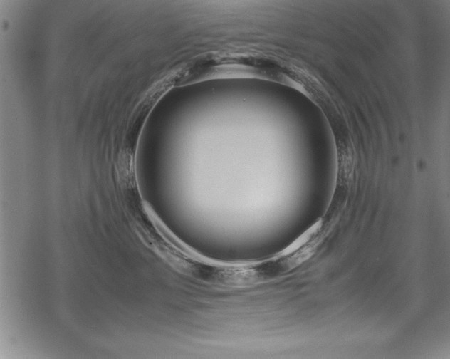 X0000069390429200605150948