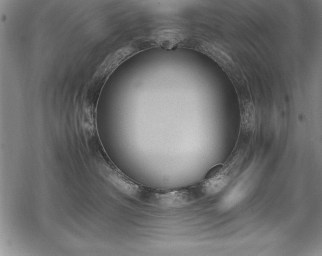 X0000069390430200605150948