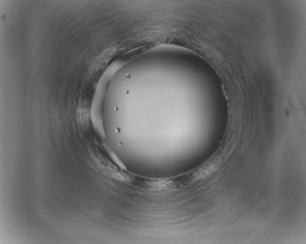 X0000069390432200605150948