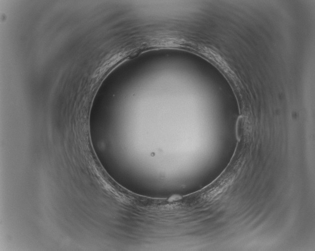 X0000069390433200605150947