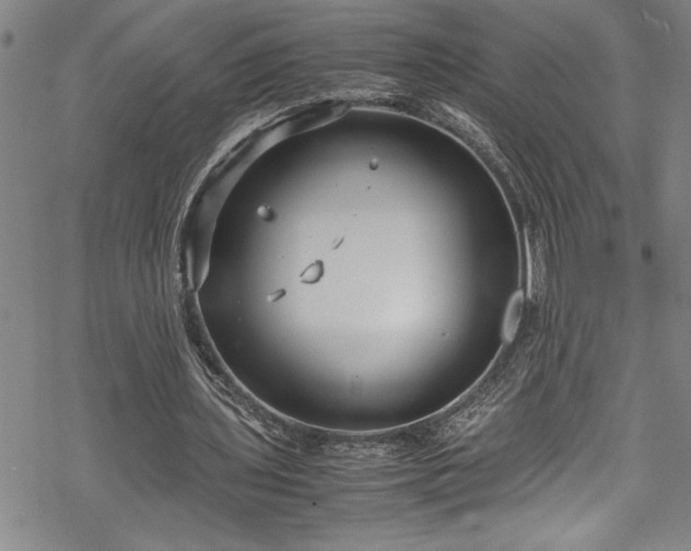 X0000069390435200605150947