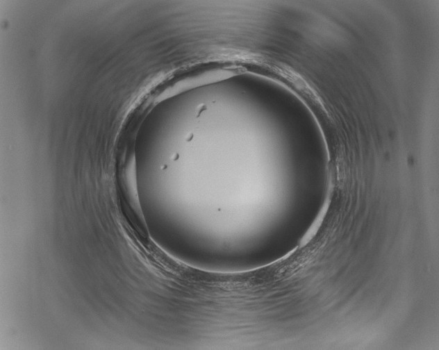 X0000069390436200605150947