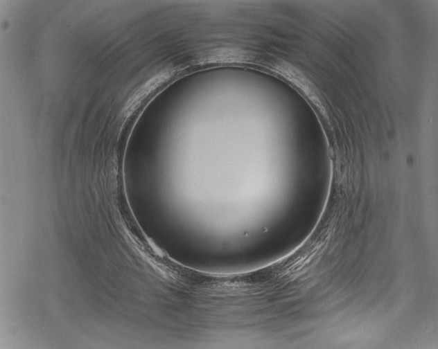 X0000069390437200605150947