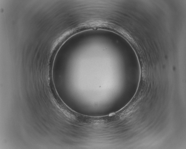 X0000069390438200605150947