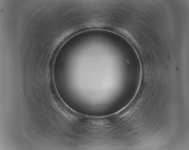 X0000069390439200605150947