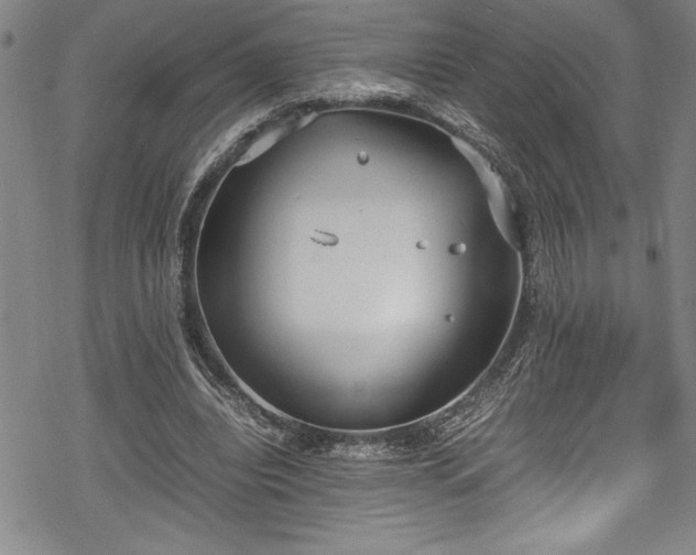 X0000069390440200605150947