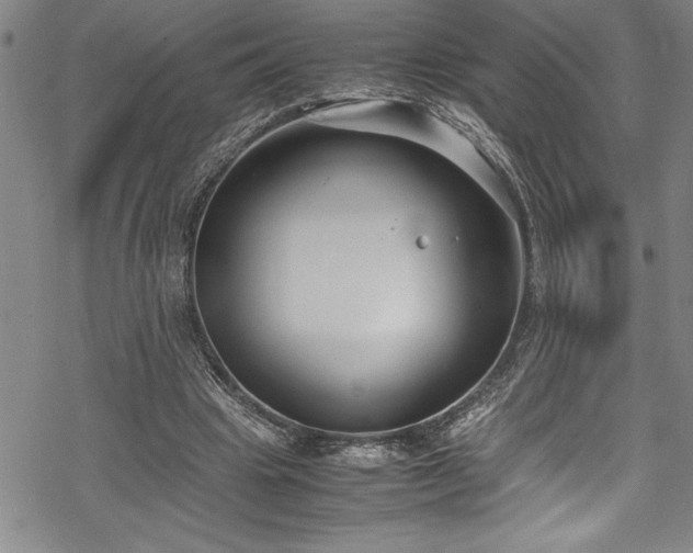 X0000069390441200605150947