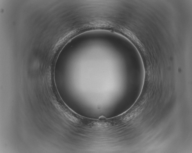 X0000069390442200605150947