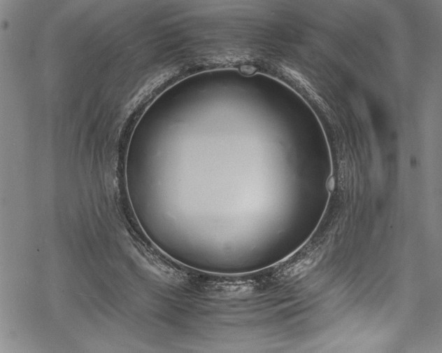 X0000069390443200605150947