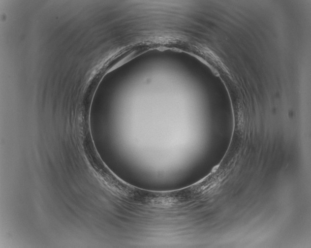 X0000069390444200605150947