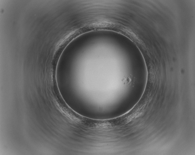 X0000069390446200605150947