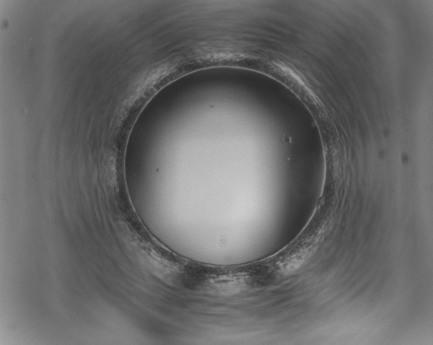 X0000069390447200605150947