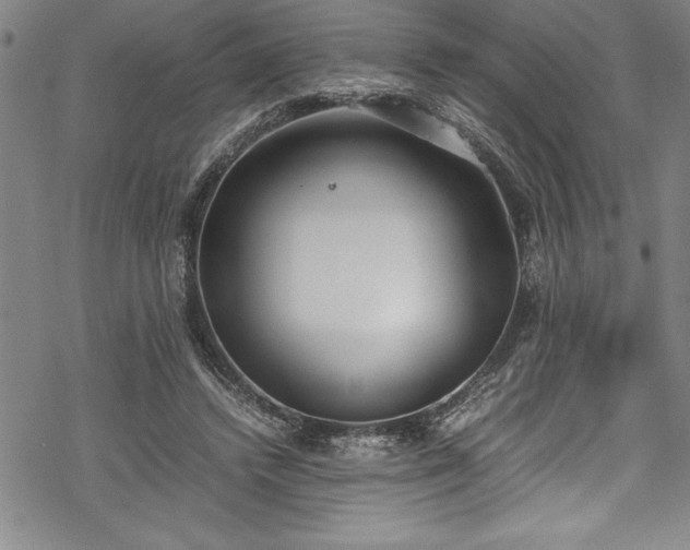 X0000069390448200605150947