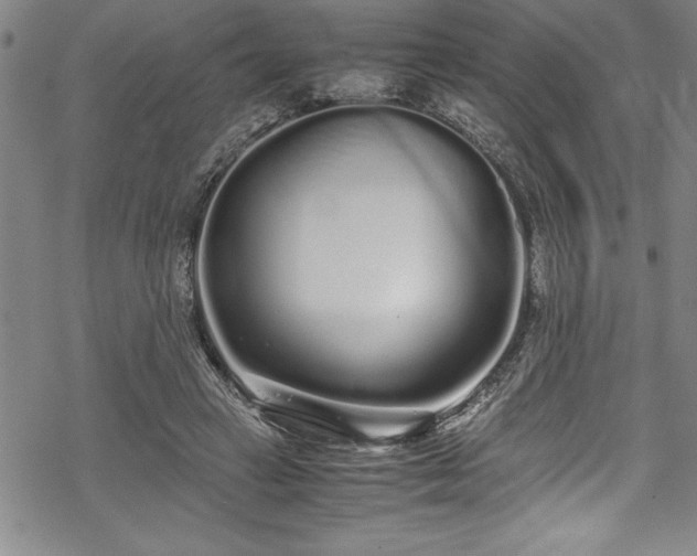 X0000069390449200605150947