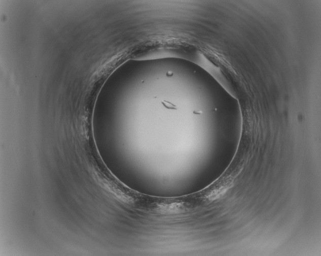 X0000069390450200605150947