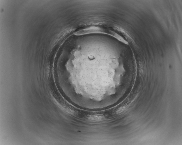 X0000069390451200605150947