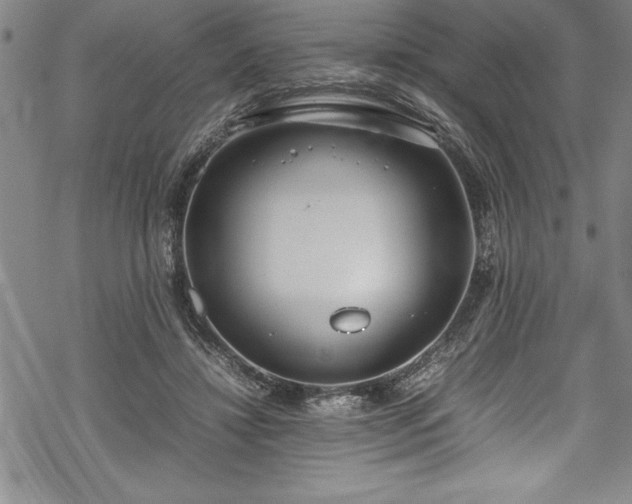 X0000069390452200605150947