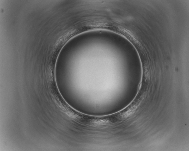 X0000069390453200605150947