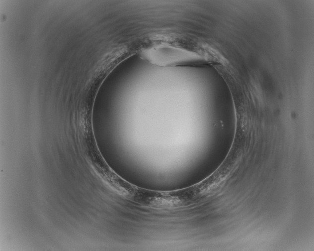 X0000069390455200605150947